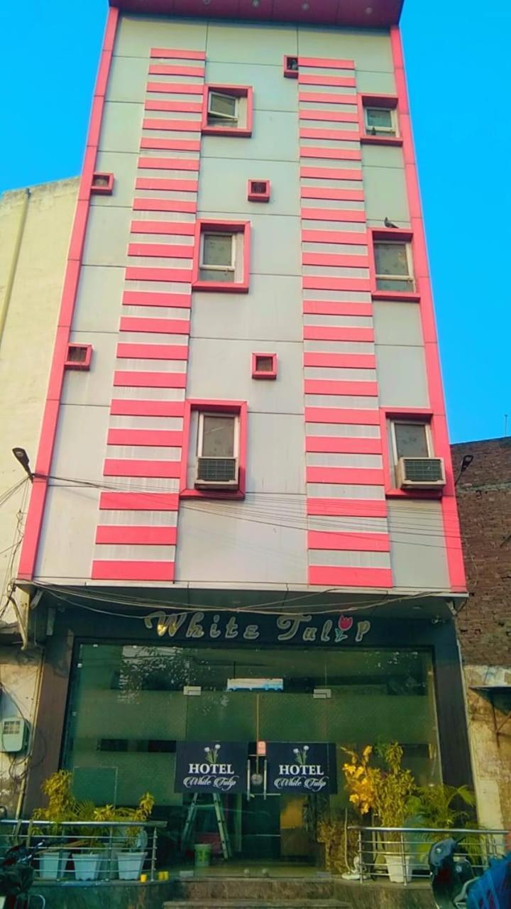 Hotel White Tulip Амритсар Экстерьер фото